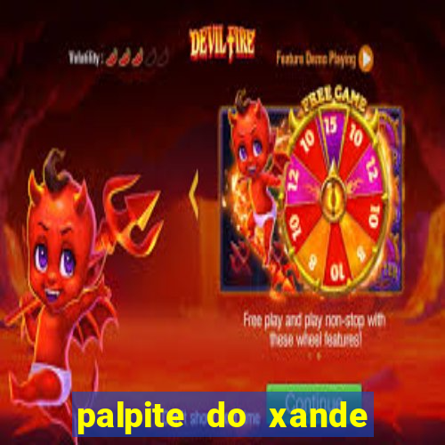 palpite do xande para hoje